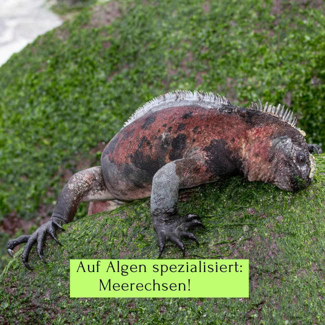 Ungeeignet Blog 10
