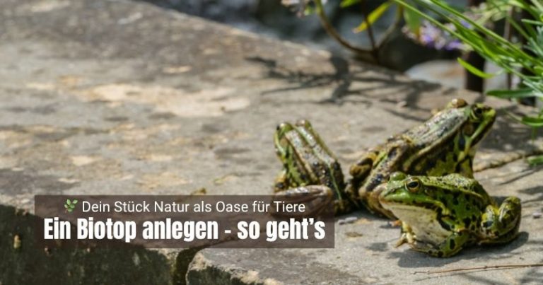 aktiv im Artenschutz1