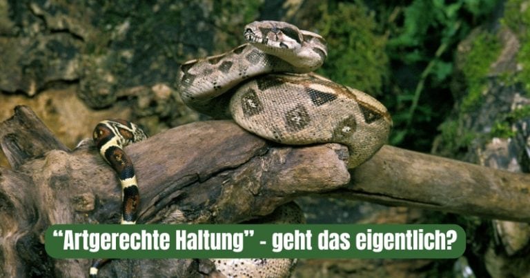 Beitrag Artgerchte Haltung