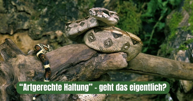 Beitrag Artgerchte Haltung