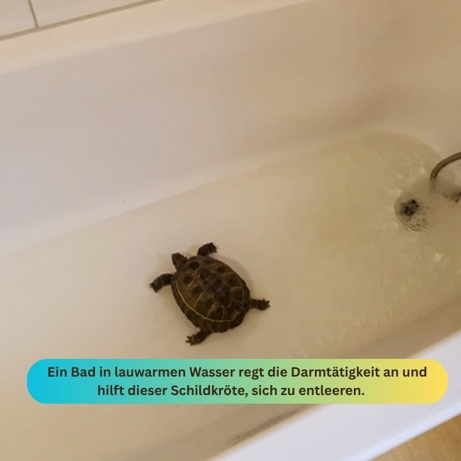 Winter Blog ()